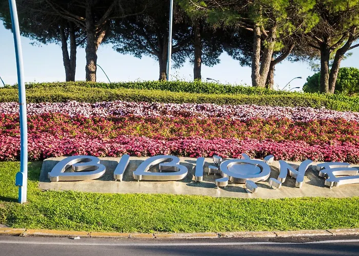 Modern Near The - Beahost *